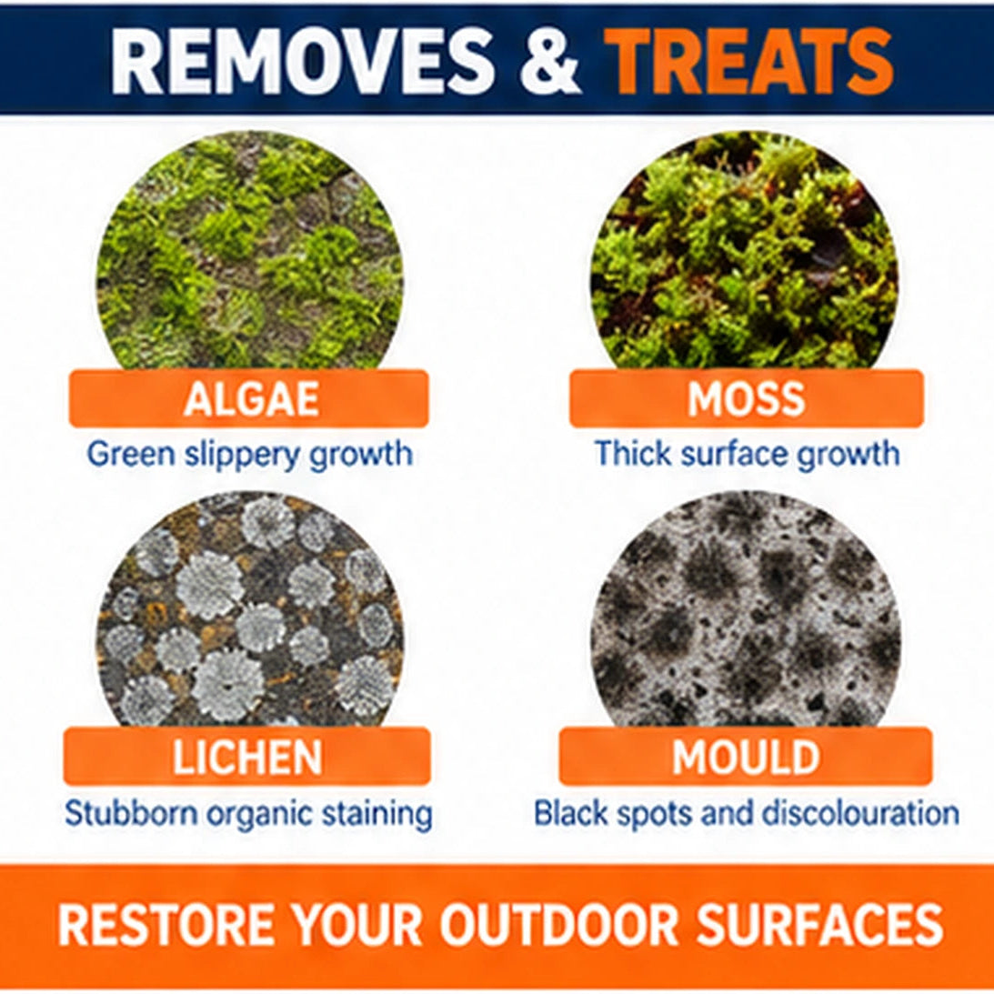 Joint-It Algae Remover – Patio, Paving & Outdoor Surface Cleaner – 1L & 5L