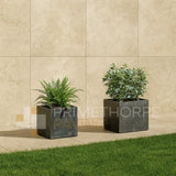 Colosseo Beige Porcelain Paving
