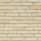 Fossil Mint - Sandstone Walling Stone