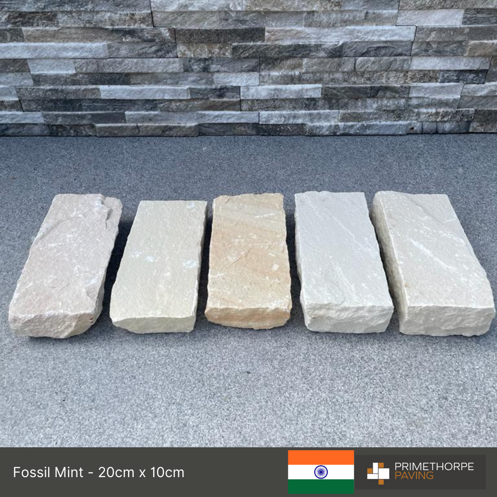 Fossil Mint - Setts - 2 x Size Options - Unit Price Shown