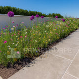 Antique Beige Porcelain Paving