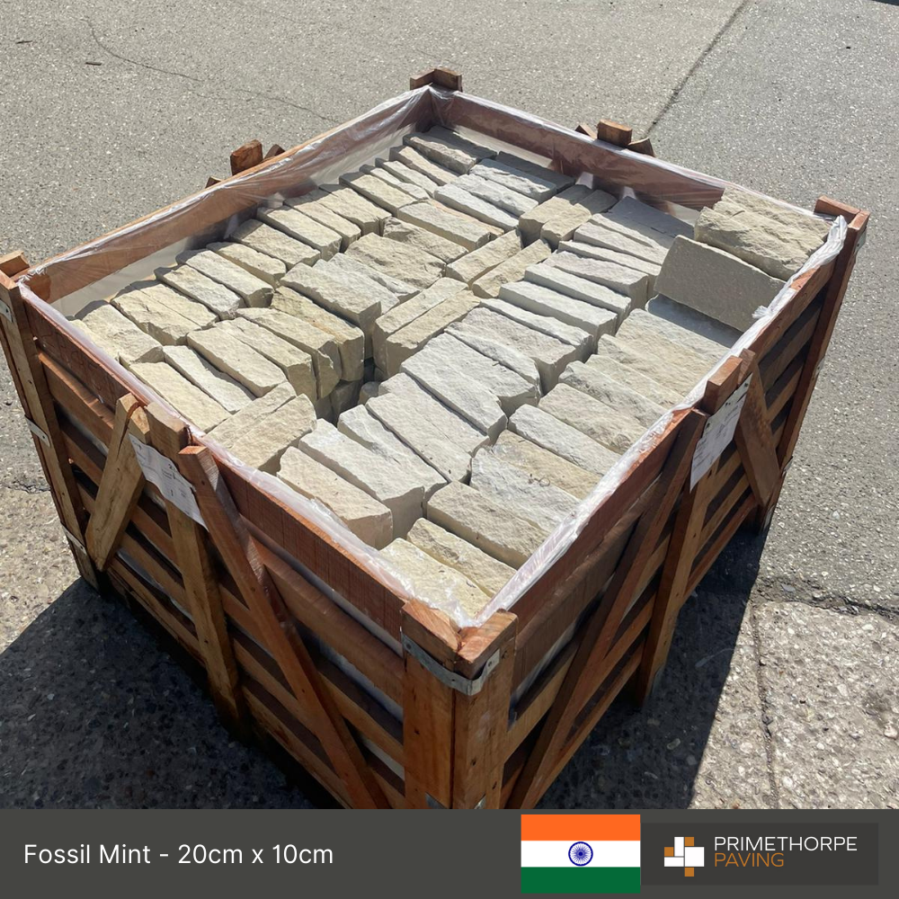 Fossil Mint - Setts - 2 x Size Options - Unit Price Shown