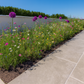 Antique Beige Porcelain Paving