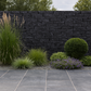 Black Limestone Walling Stone